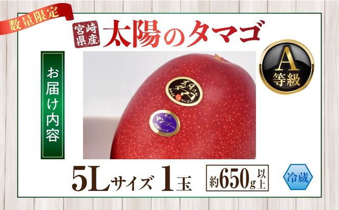 【2027年発送】【数量限定】宮崎県産 太陽のタマゴ A等級 5Lサイズ×1玉（約650g以上）_kn056-015
