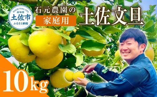 [先行予約]石元農園の土佐文旦 家庭用 約10キロ(14〜22玉)[2027年2月〜発送] 期間限定 土佐文旦 文旦 10kg ぶんたん 果物 柑橘 フルーツ 高知県産 家庭用 おいしい[石元農園] [BQBH002]