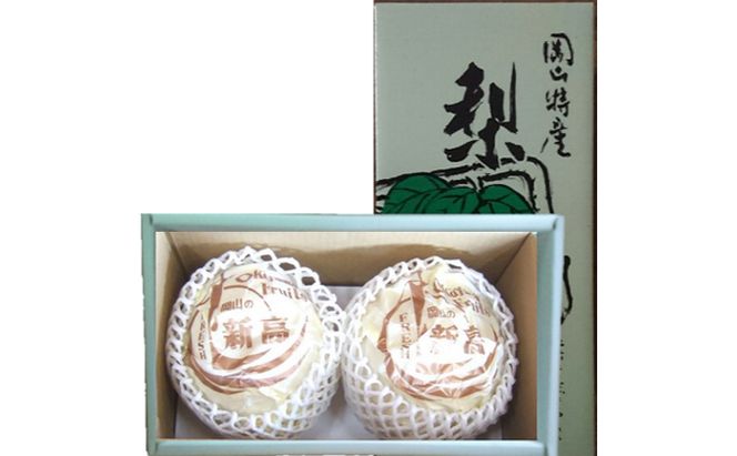 梨 2026年 先行予約 新高梨 2玉 約1.6kg（1玉約800g）岡山県 赤磐市産【配達不可：離島】 なし フルーツ 果物 ナシ 果物類 
