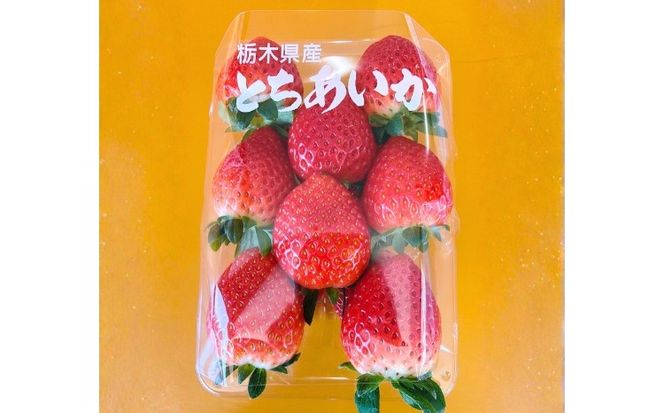 【先行予約】出会いの森いちご園 とちあいか （290g×2パック） | いちご イチゴ 苺 栃木県 果物 くだもの フルーツ とちあいか 新鮮 贈答 ギフト デザート スイーツ ※2026年12月～発送