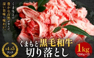 【A4～A5】くまもと黒毛和牛 切り落とし 1kg 《60日以内に出荷予定(土日祝除く)》 牛肉 くまもと黒毛和牛 黒毛和牛 冷凍庫 切り落とし---sn_fespkiri_60d_24_14500_1kg---