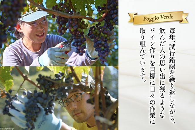 ワイン ポッジョ ヴェルデ 白・ロゼ・赤ワイン3本セット 「フェリーチェ　ビアンコ／ロザート／ロッソ」各750ml　【長野県 池田町】 [Poggio Verde 長野県 池田町 48110836] ワイン 赤ワイン 白ワイン ロゼ ロゼワイン wine お酒 酒 飲み比べ 飲み比べセット セット