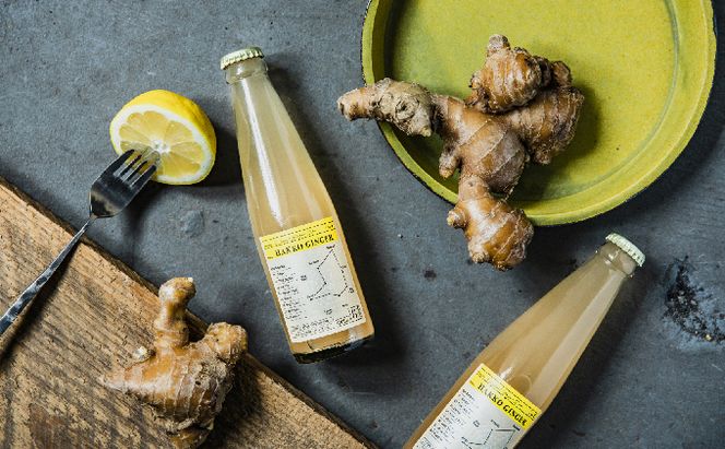 【CF】自家製ジンジャービア【HAKKO GINGER】24本セット 飲料類 炭酸飲料 野菜飲料 野菜ジュース 
