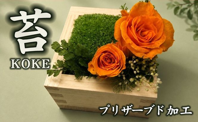 升コケ‐バラ‐(インテリア グリーン 観葉 植物苔 こけ コケ)【002429】
