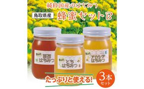 蜂蜜セット B 312011_AK003