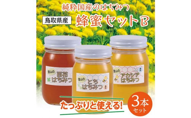 蜂蜜セット B 312011_AK003