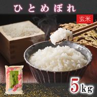 【令和8年産新米】【2026年9月中旬より順次発送開始】ひとめぼれ（玄米）5kg｜茨城県 行方市 ふるさと納税 米 玄米 新米（DD-7-1）