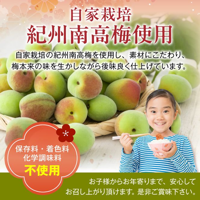 紀州南高梅使用 はちみつうす塩味完熟梅干し 無選別 800g_ZD7034