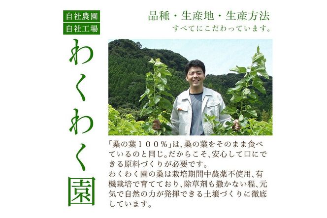 a793 国産！わくわく園有機桑茶・計120包(2g×60包・2袋)【わくわく園】桑の葉 有機 桑茶 桑 桑の葉茶 お茶 ティーバッグ ティーパック ノンカフェイン くわ 茶 九州産