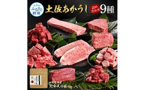 特選 土佐あかうし 長期熟成肉 9種 詰め合わせセット 田野屋銀象 完全天日塩付き 牛肉 肉 お肉 和牛 国産 牛 赤身 ヒレ カルビ ロース ステーキ スネ肉【株式会社LATERAL】 [BQAU035]