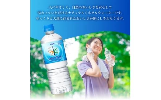 「アサヒおいしい水」天然水富士山 PET 600ml 1箱(24本入）／2箱(48本入) 防災 備蓄 保存 ストック 防災グッズ 山梨 富士吉田