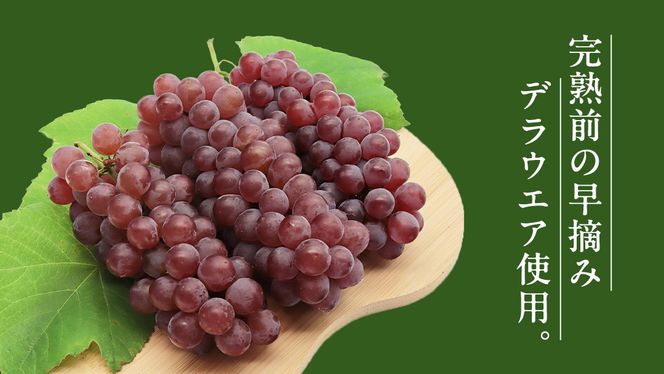 青デラ 750ml ワイン 白ワイン 白 酒 牛久シャトー デラウエア