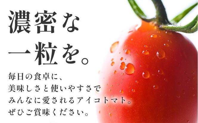 トマト アイコトマト ミニトマト 2kg GOGO農園 《11月上旬-5月末頃出荷》 和歌山県 日高川町 野菜 とまと サラダ カプレーゼ お弁当 青果物---wshg_gof42_11j5m_26_12000_2kg---