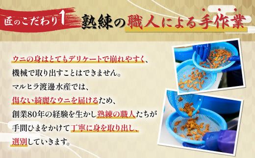 先行予約 ≪規格外品≫キタムラサキウニ100g ※2025年6月下旬～順次発送