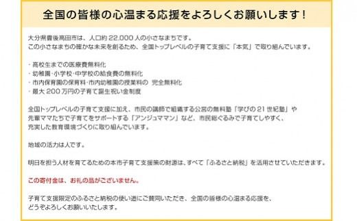 ふるさと納税で子育て支援！(返礼品なし・賛同型寄付）1,500円 【子育て支援限定使い道】大分県豊後高田市