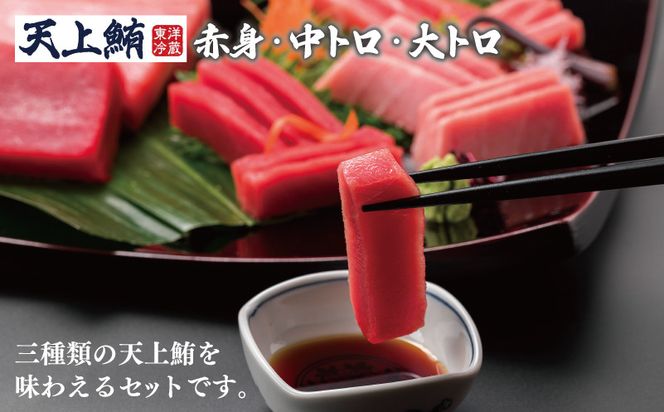 099Z218-1 【高島屋選定品】<東洋冷蔵>天上鮪 食べ尽くし 定期便 全4回【毎月配送 刺身 海鮮丼 鮪 まぐろ マグロ 小分け】