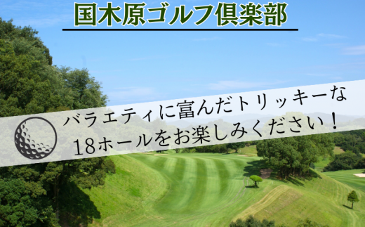 【和歌山県】 ゴルフ倶楽部全日プレー招待券 / ゴルフプレーチケット ゴルフ利用券 スポーツ ゴルフ場 近畿 国木原 ラウンド 和歌山オープン PGA ギフト プレゼント【knh002】