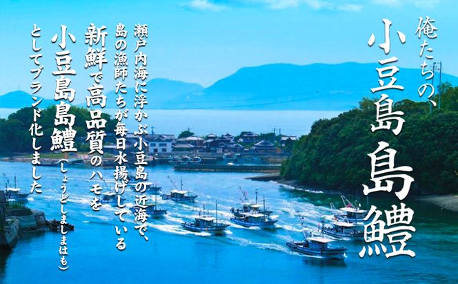 【 小豆島 】テレビで紹介されました！『小豆島島鱧』活け締め骨切り瞬間冷凍 新鮮 海の幸 ハモ