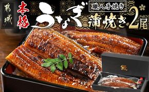 職人手焼きの本格うなぎ蒲焼き2尾_MJ-3305