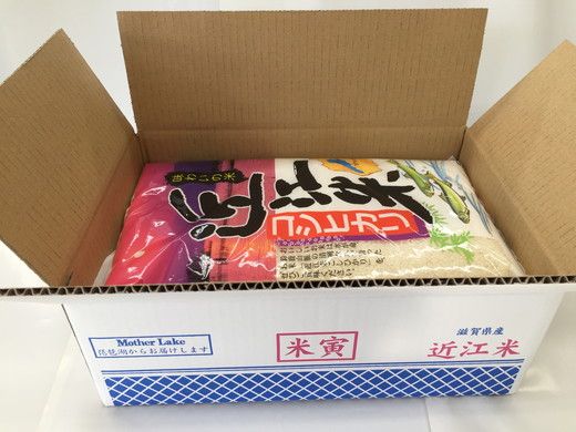 【7年産】近江米こしひかり【10kg（5kg×2袋）】【T020W3】