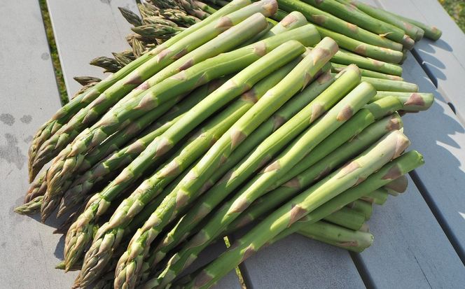 【5月中旬以降発送】鹿追産アスパラ（2kg）M/L SKA036
