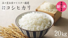 《 令和7年産 》 茨城県産 コシヒカリ 20kg ( 5kg × 4袋 ) 期間限定 こしひかり 米 コメ こめ 五ツ星 高品質 白米 精米 時短 単一米 [AC041us]