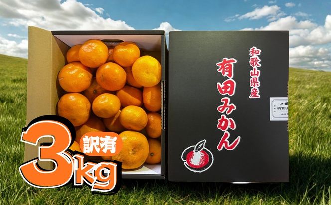 【訳あり】有田みかん 約3kg 家庭用  EY001