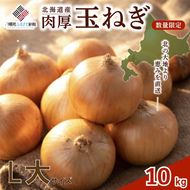 【新規】玉ねぎ L大サイズ 10kg