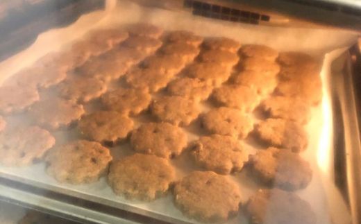 牛久市産小麦全粒粉のクッキー15袋セット[BD001us]