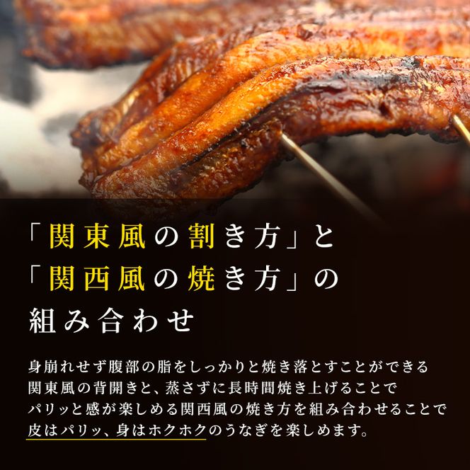 父の日 鰻 数量限定 国産 うなぎ蒲焼 1尾 国産鰻 蒲焼 うなぎの蒲焼き 惣菜 おかず 魚介 冷凍