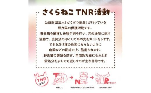 【訳あり】野良猫保護支援 さくらねこ ブレンドコーヒー 富士山の湧き水で磨いた スペシャルティコーヒー ※豆800g/粉800g/ドリップ12g×40袋 コーヒー 珈琲 ブレンドコーヒー スペシャルティコーヒー 挽き立て 山梨 富士吉田