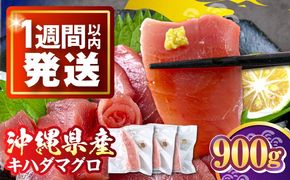 冷凍キハダマグロ 900g (300g×3パック) マグロ まぐろ 小分け 冷凍 刺身 赤身 沖縄市 / 沖縄市漁業協同組合 パヤオ直売店[BCDZ006]