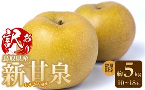 訳あり 数量限定 鳥取県産 新甘泉（しんかんせん） 約5kg （10～18玉）≪2026年9月中旬頃出荷≫ 312011_GT001