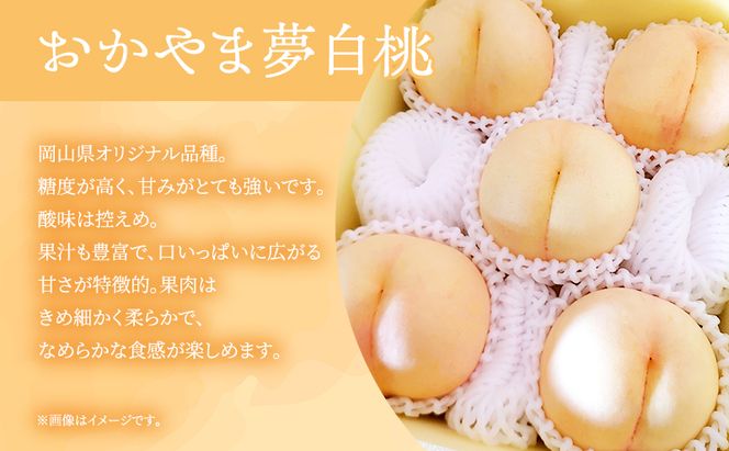 桃 2026年 先行予約 岡山県産 おかやま夢白桃 贈答用 1.5kg(4～6玉)　朝採れ　農家直送　限定20箱