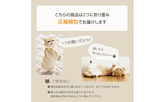 【ニッセン】まるで猫!のようなモフモフ抱き枕(猫Feel) サバトラ［ 京都 nissen しっぽ付き 人気 おすすめ 手洗い ギフト プレゼント お取り寄せ 通販 送料無料 ふるさと納税 ］ 261009_A-YM017VC05
