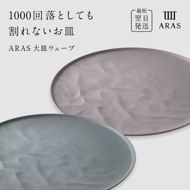 ARAS 大皿ウェーブ 2枚セット【カラー：グリーングレー&ピンクグレー】27cm 大皿 プレート 割れない 保証付き ARAS エイラス 色が選べる 皿 食器 うつわ 贈り物 ギフト 3万円 30000円 F6P-2598