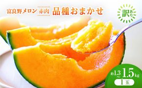 ＜2026年発送＞富良野メロン 約1.3kg～1.5kg 1玉 [ メロン フルーツ 果物 北海道 富良野 ]