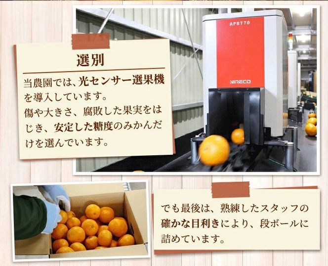 家庭用 完熟 有田みかん1kg+250g（傷み補償分）サイズ混合