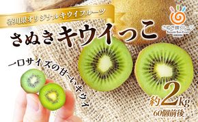 さぬき キウイっこ 一口サイズの甘～いキウイ2kg キウイフルーツ キウイ フルーツ 果物 くだもの 果実 旬の果物 旬のフルーツ 香川 香川県 東かがわ市