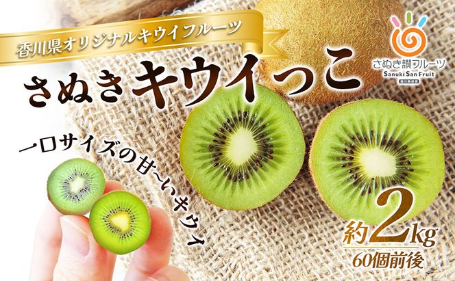 さぬき キウイっこ 一口サイズの甘～いキウイ2kg キウイフルーツ キウイ フルーツ 果物 くだもの 果実 旬の果物 旬のフルーツ 香川 香川県 東かがわ市