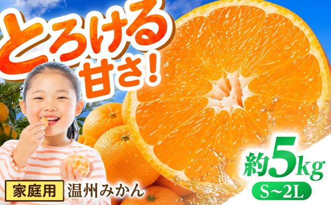 【11月末〜発送】温州みかん 5kg （S〜2L） / みかん ミカン 蜜柑 フルーツ 果物 旬 先行予約 柑橘 産地直送 家庭用 国産 / 南島原市 / 株式会社マルハチ[SFG004]