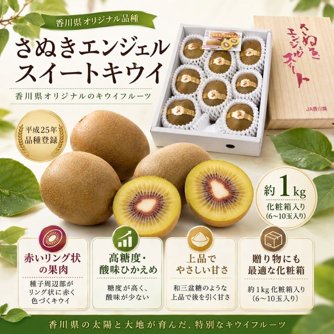 【 小豆島 】 さぬきエンジェル スイートキウイ 約1kg 化粧箱 フルーツ 果物 キウイ キウイフルーツ さぬき くだもの 国産 香川 香川県 土庄 土庄町