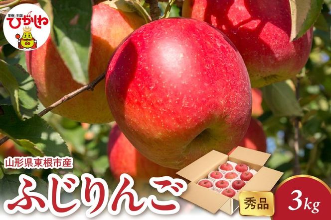 2025年産 ふじりんご 3kg（6-13玉） 秀品 山形県 東根市 hi082-017-2