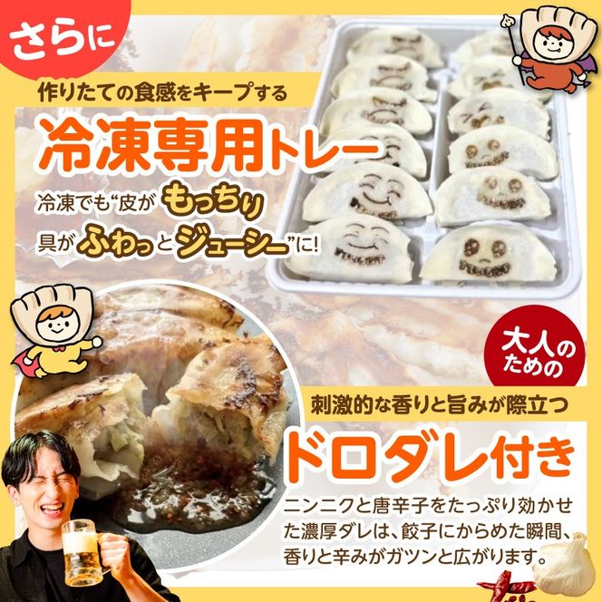 （お試し）≪家族が笑顔になる餃子≫『すまいる餃子』12個 H204-001