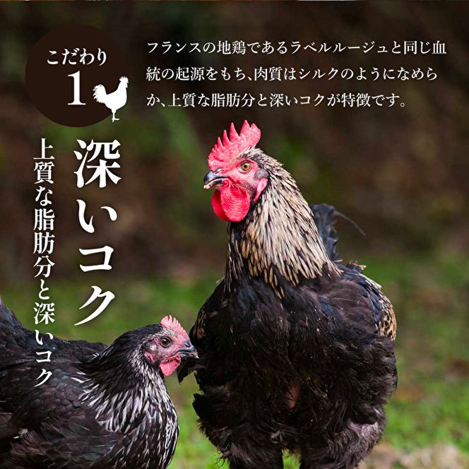 キーマカレー 地鶏丹波黒どりと丹波黒大豆のキーマカリー 10食セット 最短4日以内発送