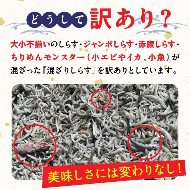 訳あり 3kg！バラエティ豊富な三河しらす H018-070
