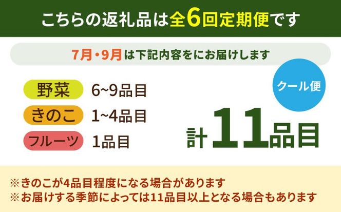 【6回定期便】【奇数月コース】豪華！野菜 セット 15品目以上 6回 定期便 フルーツ キノコ 詰め合わせ / 南島原市 / 吉岡青果 [SCZ002]