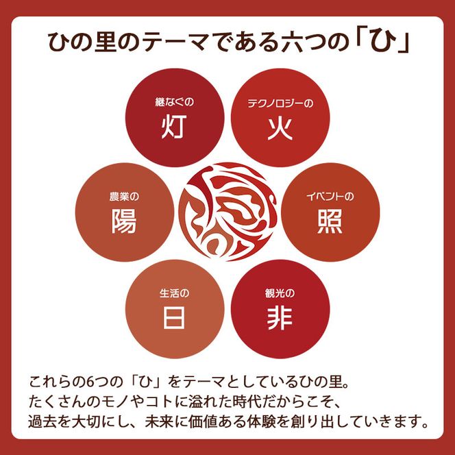 【新米先行予約 11月以降順次発送予定】 《定期便 6か月》4kg（2kg×2袋）×6ヶ月 秋田県産 あきたこまち 玄米 2kg×2袋 神宿る里の米「ひの米」【令和8年度産 玄米 秋田 にかほ】