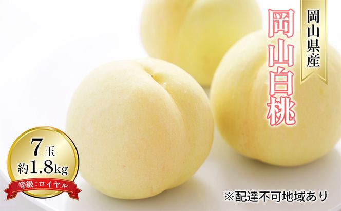 桃 2026年 先行予約 岡山 白桃 7玉 約1.8kg 等級：ロイヤル（1玉 260g以上） もも モモ 岡山県産 国産 フルーツ 果物 ギフト 