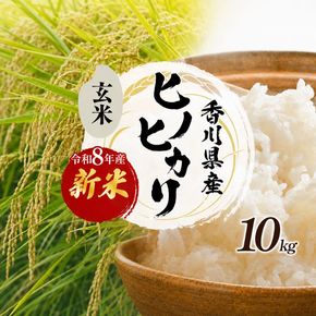 ヒノヒカリ 玄米 10kg 令和8年産 新米 香川県産 さぬき米 ひのひかり 小路農園 お米 玄米ごはん ご飯 おにぎり 主食 ブランド米 奨励品種 小粒 厚み 家族総出 一斉出荷 お弁当 米 甘み 旨み 東かがわ市